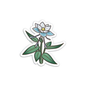 Glaze Lily Sticker